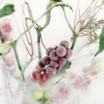 a bunch of berries sitting on top of a snow covered ground